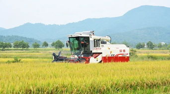 農(nóng)機(jī)銷售季 為國(guó)產(chǎn)品牌打call，助力農(nóng)業(yè)現(xiàn)代化新征程